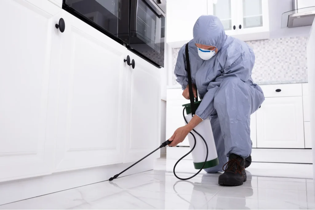 House & Office Cleaning Services in Kerala | Pest Control Treatment